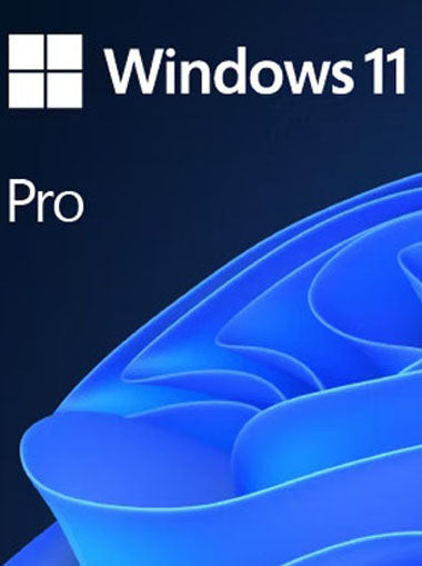 Windows 11 Professional MS Products